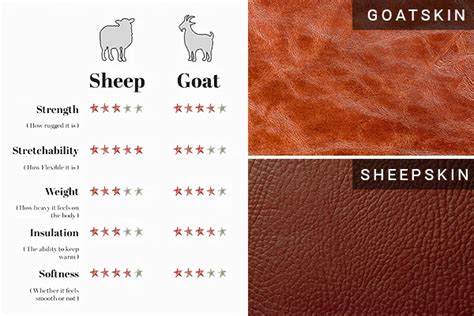 goatskin vs sheepskin